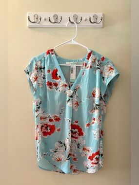 Fun 2 Fun Floral V-Neck Blouse - Light Blue and Red